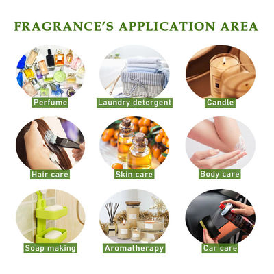 Rosa Sinensis Fragrance Perfume Oil Making Female Concentrated Perfume Oil