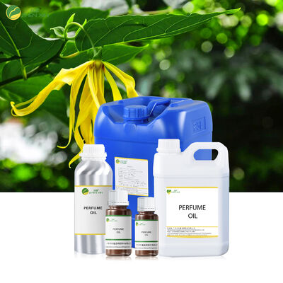 Oil-based Perfumes Brand for Women and Men Designer Fragrance Oil Roll on Perfume Oil for Body Spray